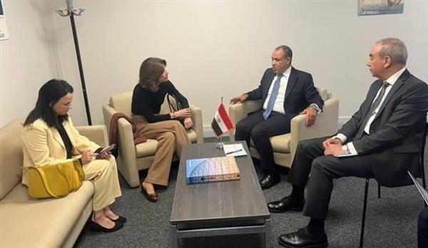 وزير الخارجية يثمن دعم البرازيل للمرشح المصري لرئاسة اليونسكو
