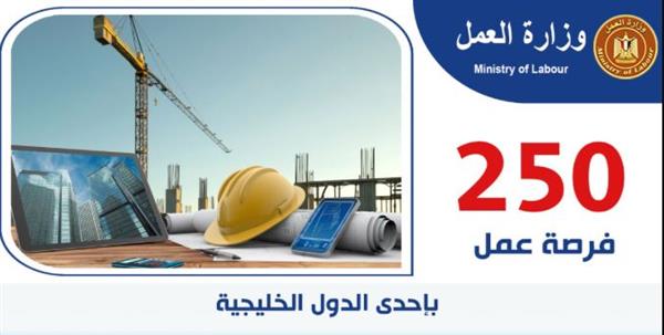 وزير العمل يُعلن عن 250 فرصة عمل بإحدى الدول الخليجية