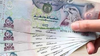   سعر الدرهم الإماراتي اليوم مقابل الجنيه المصري