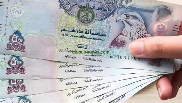 سعر الدرهم الإماراتي اليوم مقابل الجنيه المصري