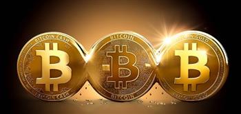   هبوط جماعي للعملات الرقمية.. و"بيتكوين" تتراجع إلى 121 ألف دولار بفعل قوة الدولار