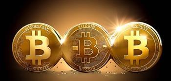 هبوط جماعي للعملات الرقمية.. و"بيتكوين" تتراجع إلى 121 ألف دولار بفعل قوة الدولار