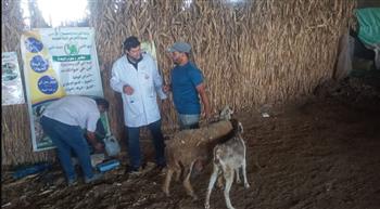   وزير الزراعة يوجه بتحرك عاجل لدعم المربين بالمنوفية والجيزة..