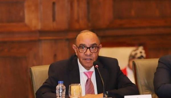 عادل ناصر: الدبلوماسية المصرية نجحت في إنهاء الحرب على غزة