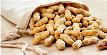   الفول السوداني.. بين الفوائد الغذائية والمخاطر الصحية