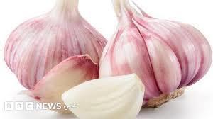 الثوم.. مضاد طبيعي للعدوى وسلاح للجسم من المطبخ إلى الطب       