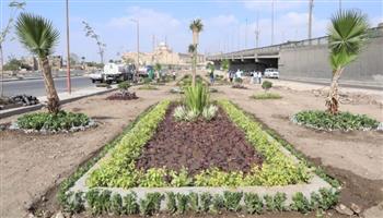   وزيرة التنمية المحلية: انطلاق المرحلة الرابعة من مبادرة 100مليون شجرة بالفيوم