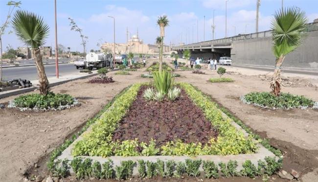 وزيرة التنمية المحلية: انطلاق المرحلة الرابعة من مبادرة 100مليون شجرة بالفيوم