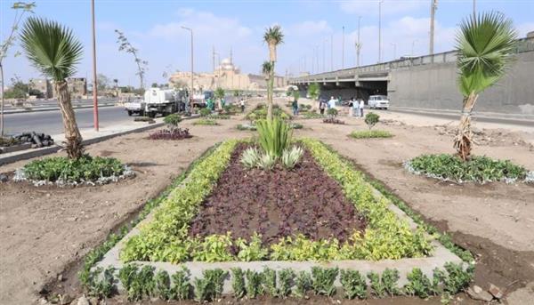 وزيرة التنمية المحلية: انطلاق المرحلة الرابعة من مبادرة 100مليون شجرة بالفيوم