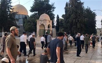   توتّر بالأقصى.. اقتحام 1105 مستوطنين وحملة اعتقالات في الضفة الغربية