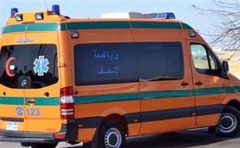   عربة كارو تدهس شابًا أثناء عبوره الأوتوستراد