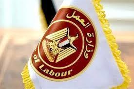 العمل: صندوق الطوارئ يقدم 61 مليون جنيه دعما لـ18 ألف عامل خلال 4 شهور