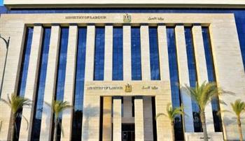   وزارة العمل: 9 فرص عمل جديدة في مجالات صناعة الطوب والبلاط والورق الصحي بالأردن