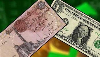   الدولار مستقر عند 47.15 جنيه في البنك المركزي