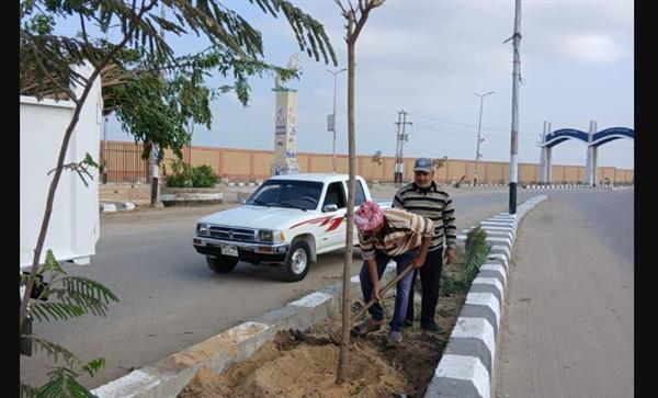 منال عوض تعلن انطلاق المرحلة الرابعة من مبادرة "100 مليون شجرة" بمحافظة الشرقية