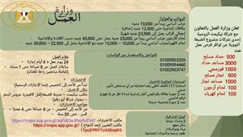   وزارة العمل توفر 6200 فرصة عمل جديدة بـ مشروع الضبعة النووي بالتعاون مع بتروجيت