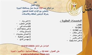   وزارة العمل: 157 فرصة عمل جديدة بمحافظة الجيزة