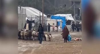   جهاد حرب: الفلسطينيون في غزة يواجهون ظروفًا صعبة لكن الأمل لا يزال قائمًا