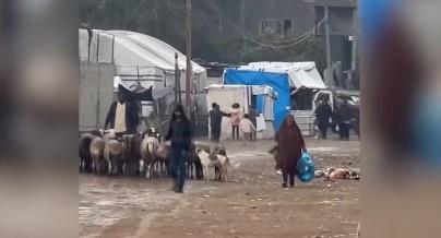 جهاد حرب: الفلسطينيون في غزة يواجهون ظروفًا صعبة لكن الأمل لا يزال قائمًا
