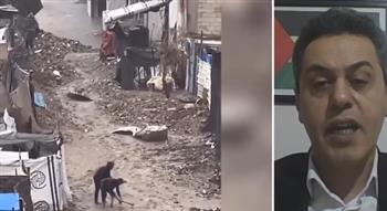   صلاح عبد العاطي: الاحتلال ينتهك حقوق الفلسطينيين ويزيد من معاناتهم الإنسانية
