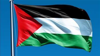 «الخارجية»: توافق إقليمي ودولي حول خطة قمة شرم الشيخ بشأن الدولة الفلسطينية