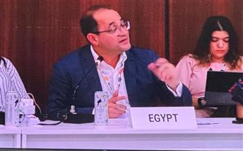   وزير المالية : تعزيز الجهود الدولية بتحويل التعهدات المناخية إلى خطوات عملية ملموسة 