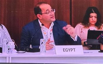 وزير المالية : تعزيز الجهود الدولية بتحويل التعهدات المناخية إلى خطوات عملية ملموسة