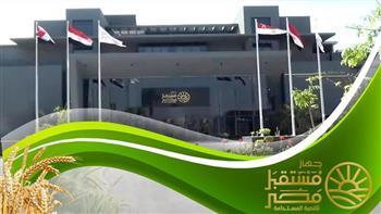   صانع سوق القمح .. جهاز مستقبل مصر يعزز الإنتاج المحلي ويؤمن الاستيراد المتنوع