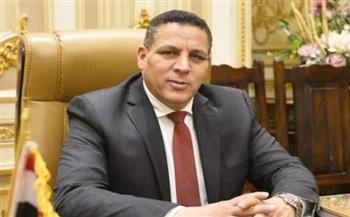   عضو الشيوخ: أسبوع الإعمار بالقاهرة يعكس ريادة مصر في دعم السلام والتنمية بالقارة الأفريقية