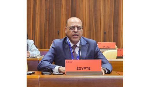 وزير العمل يشارك في اجتماعات مجلس إدارة منظمة العمل الدولية في جنيف