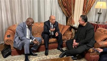   وزير الكهرباء يبحث مع وزير المياه التشادي التعاون في مختلف المجالات