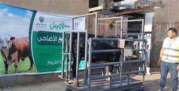   جمعية الأورمان تنفيذ "13" مشروعاً تنموياً صغيراً ومتناهي الصغر بقنا