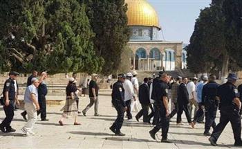الأردن يدين اقتحامات المتطرفين للأقصى ويدعو لوقف الانتهاكات بالقدس