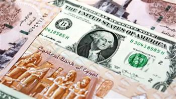   بكام الأخضر؟..الأعلى سعر مصرف أبو ظبي الإسلامي