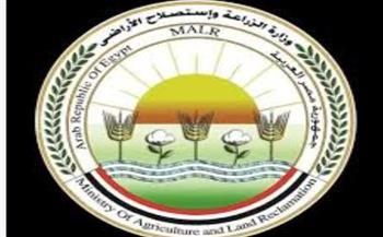   "الزراعة" تواصل أعمال الحملة القومية لتحصين الماشية ضد الحمى القلاعية 
