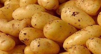   البطاطس.. غذاء بسيط يدعم المخ ويهدئ الأعصاب