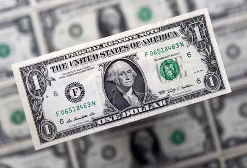 سعر الدولار اليوم الخميس 20 نوفمبر 2025 أمام الجنيه المصري