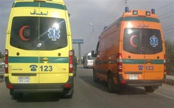   سيارة نقل تصدم أشخاصًا بالشرقية.. وفاة شخصين وإصابة ثالث