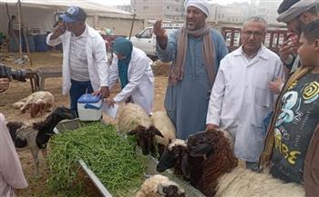   «الزراعة» تحصن 6.5 مليون جرعة وتدعو المربين للتعاون مع الحملة القومية