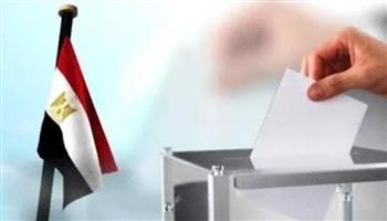   بدء تصويت المصريين في موريتانيا وبنجلاديش بالمرحلة الثانية للنواب 2025