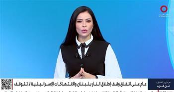أمل الحناوي: إسرائيل تواصل خروقاتها على الحدود اللبنانية وتبرر اعتداءاتها بذرائع "وهمية"