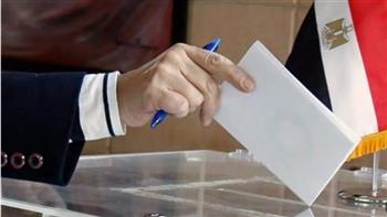   أنواع الطعون على انتخابات مجلس النواب.. تفاصيل