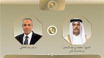   وزير الخارجية لنظيره القطري: ضرورة تنفيذ قرار مجلس الأمن بشأن غزة