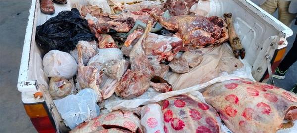 "عطية" يتابع جهود الطب البيطري في ضبط 130 طن أغذية فاسدة وتحصين 131 ألف رأس ماشية