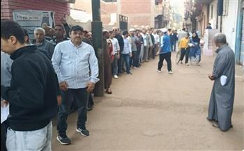 انتخابات مجلس النواب.. توافد المواطنين للإدلاء بأصواتهم في لجان بسيون بالغربية