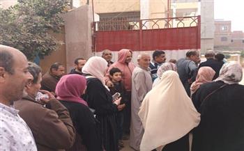   انتخابات مجلس النواب.. استمرار توافد الناخبين على لجان دائرة كفر شكر بالقليوبية