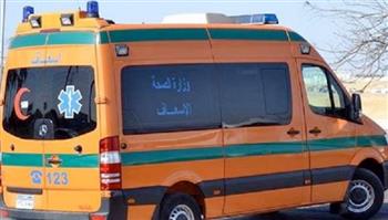   قطار وسيارة ينهيان حياة شخصين في أوسيم والشيخ زايد