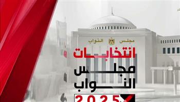   متابعون دوليون يشيدون بنزاهة واحترافية تنظيم المرحلة الثانية من انتخابات النواب
