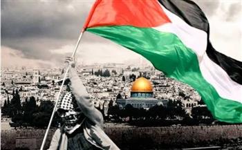   نداء باكستاني للمجتمع الدولي: التزاماتكم تجاه فلسطين يجب أن تتحول إلى أفعال