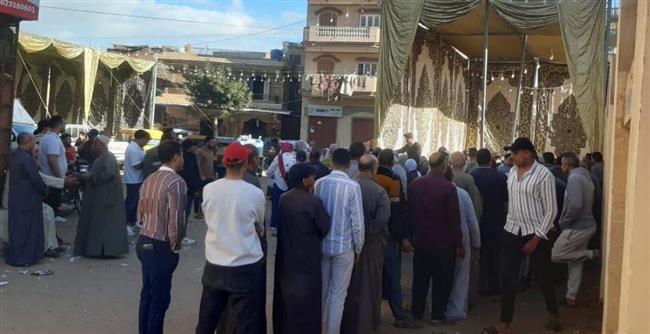 الإدارية العليا تبطل انتخابات دائرة الوادى الجديد وإعادة الانتخابات فيها